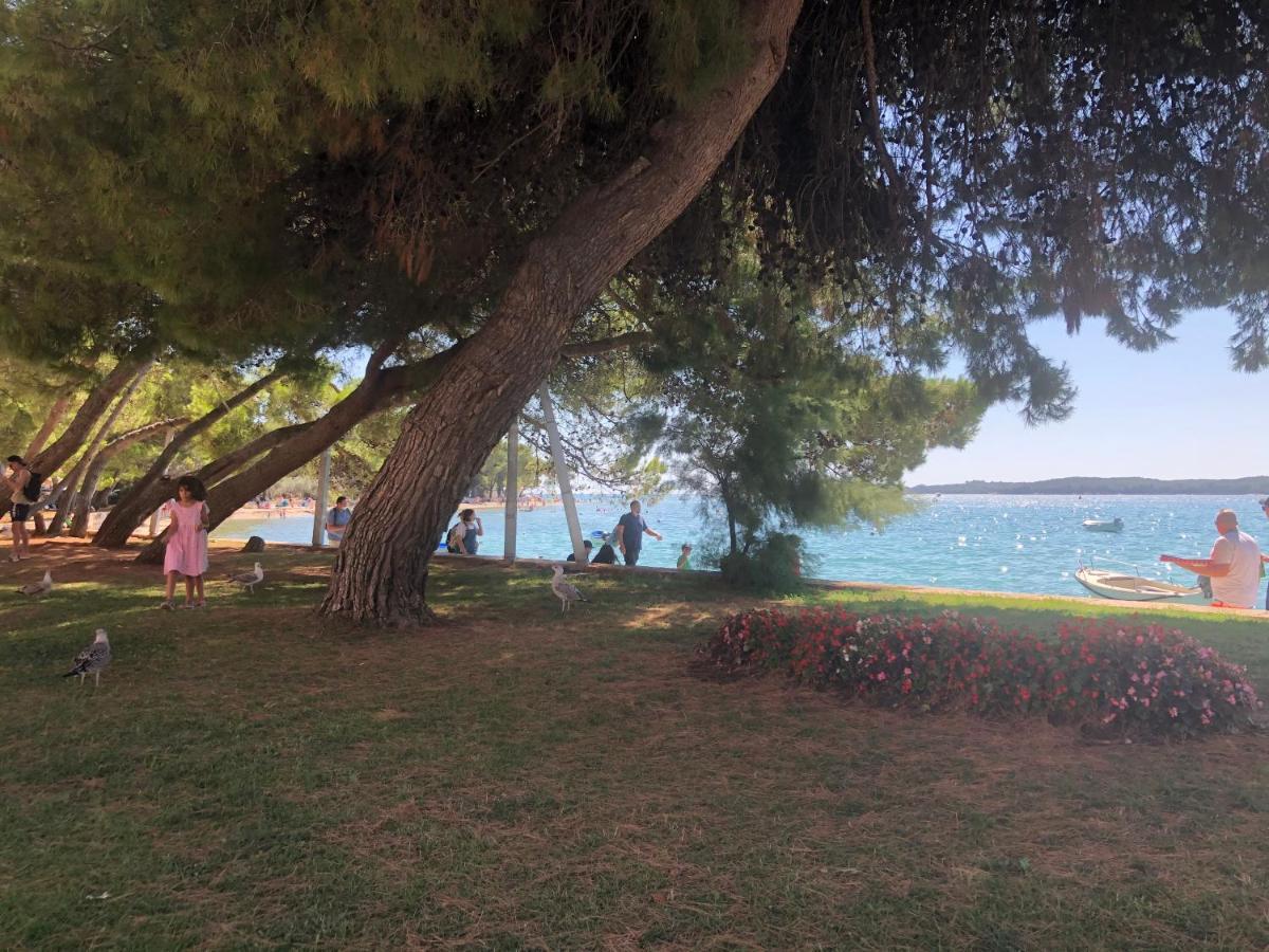 Istrian Stone House In The Heart Of The Beautiful Fishing Village Fazana - Only Few Steps From The Sea And The Wonderful Beach - Incl Plasma-Quad-Plus-Filter Against C O V I D Екстериор снимка